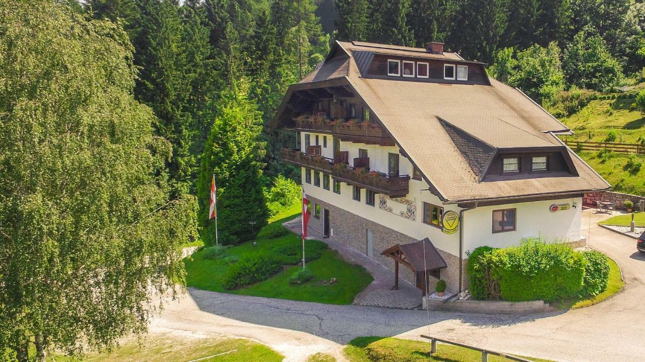 Pension Almhof Африц Экстерьер фото